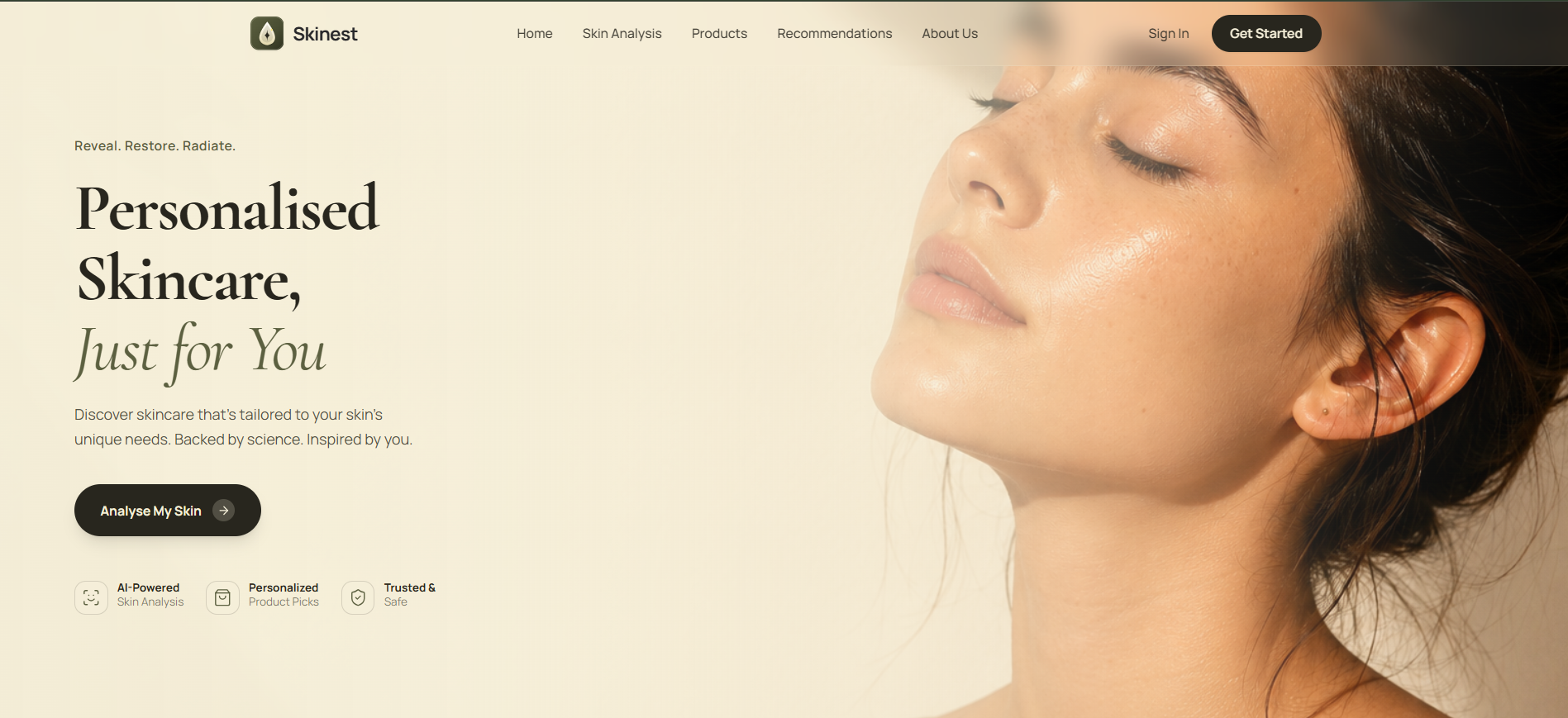 Kritika Mandale project screenshot - SKINEST
